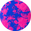 Coastal Silhouette in Paradise Pink