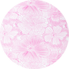 Hibiscus Haze in Paradise Pink