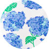 Hydrangea Walk in Blue