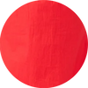Poppy